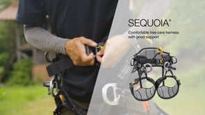 SEQUOIA&REG;